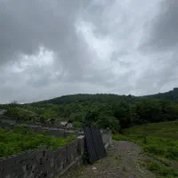 فروش زمین مستثنیات دارددل جنگل بابلکنارسد سنبل رود|فروش زمین و ملک کلنگی|مرزیکلا, |دیوار