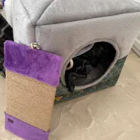 باکس گربه ظرف خاک گربه خانه گربه|لوازم جانبی حیوانات|قم, سالاریه|دیوار