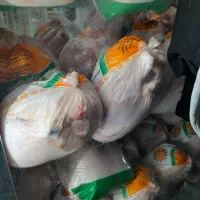 شاگرد پروتئینی