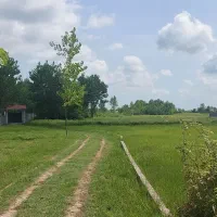 اجاره روزانه ویلا باغ رشت آباد