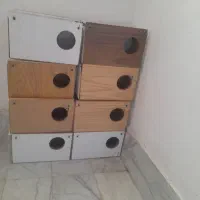 لانه پرنده