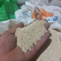 خوراک پرندگان