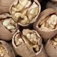 بهترین پر انرژی ترین گردوی پوست کاغذی امسال
