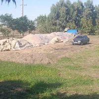 ذرت علوفه ای|عمدهفروشی|فاضل آباد, |دیوار