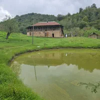 زن وشوهر جوان