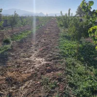 باغ زراعی اربطان مرند|فروش خانه و ویلا|یامچی, |دیوار