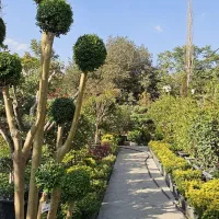 استخدام کارگر ساده آقا با جای خواب و امکانات