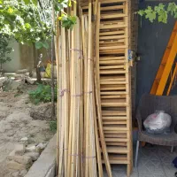 داربست کِرم میلورم