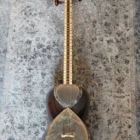 تار سالم