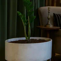 گلدان لوکس بتنی بیضی برای اولین بار در ایران