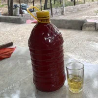 رب خانگی|خوردنی و آشامیدنی|تهران, نعمت‌آباد|دیوار
