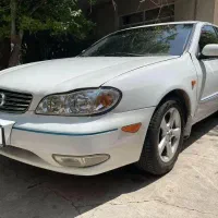 ماکسیما سفید خوش رخ