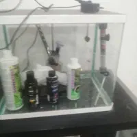 آکواریوم شرکتی با وسایل کامل