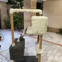 خانه گربه