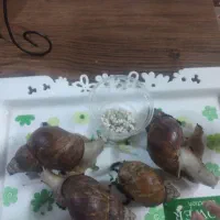 حلزون مولد|خزنده|قم, قلعه کامکار|دیوار