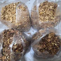 مغز گردو تازه