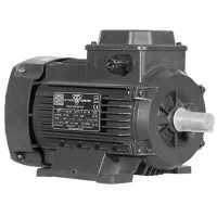 دینام برق گم کردم