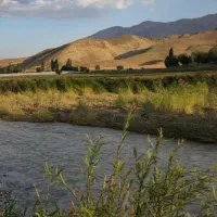 استخدام نگهبان