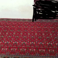 قالی زیر تلویزیونی|فرش|بندرعباس, |دیوار