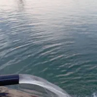 اجاره-زمین-برای-کاهو