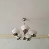 دوعددلوستر5شاخه