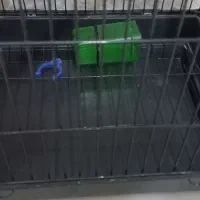 فروشی|لوازم جانبی حیوانات|سرپل ذهاب, |دیوار