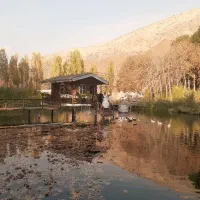 فیلمبرداری فرمالیته عروسی ،تولد،محضر،مدارس|خدمات پذیرایی، مراسم|تهران, علم و صنعت|دیوار