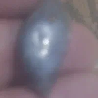 یشم قدیمی ناب|کلکسیون اشیاء عتیقه|قروه, |دیوار