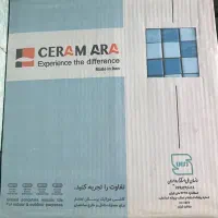 کاشی استخری