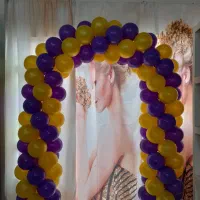 بادکنک آرایی|خدمات پذیرایی، مراسم|نیشابور, گنبد سبز|دیوار