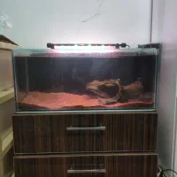 آکواریوم ، فیلتر ، پمپ هوا ، میز آکواریوم