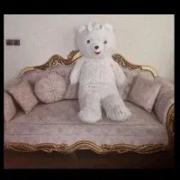 دو تا خرس بزرگ فروشی خرس عکس اولی با قد ۱۵۰|اسباببازی بچه|ارومیه, |دیوار