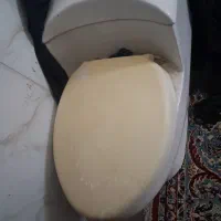 توالت فرنگی