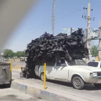 وانت