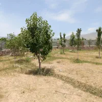 360 متر فاز باغ چهار دیواری دو نبش