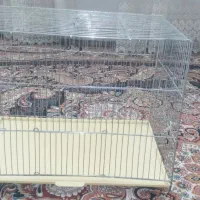 قفس بزرگ