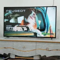 ال ای دی 49 اینچ فول اچ دی