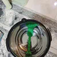 سبزی خردکنی