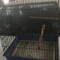 دو عدد قفس مرغ مینا و طوطی سالم|لوازم جانبی حیوانات|اهواز, کوی سعدی|دیوار