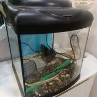آکواریوم با وسایل داخل اش گذاشتم