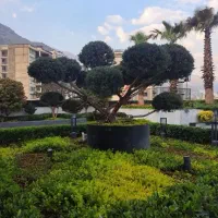 ۴۰۰ متر۴ خ مستر/ فول مشاعات / کم واحد/ غرق نور|اجارهٔ آپارتمان|تهران, سعادت‌آباد|دیوار
