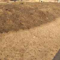 کود|خدمات باغبانی و درختکاری|شوشتر, |دیوار