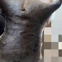 مشک جای روغن حیوانی