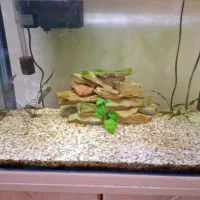 آکواریوم شرکتی ماهیران بهمراه میز شرکتی|ماهی|تبریز, |دیوار