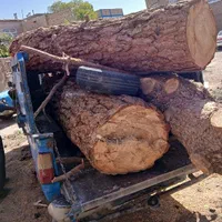 قطع وهرس درخت کاشت چمن گل|خدمات باغبانی و درختکاری|تربت جام, فاز ۲ فرهنگیان|دیوار