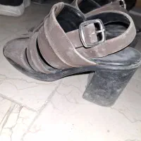 کفش مجلسی|کیف، کفش، کمربند|کرمان, |دیوار