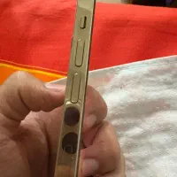 ایفون ۱۲پرومکس|موبایل|شیراز, حومه شیراز|دیوار