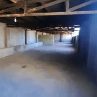 سوله و دامداری ...|اجارهٔ دفتر صنعتی، کشاورزی، تجاری|خوی, |دیوار