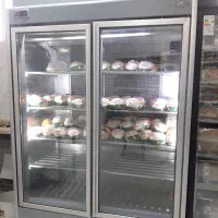 یخچال انجماد مرغی