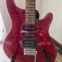 گیتار الکتریک آلمانی Washburn|گیتار، بیس، امپلیفایر|رشت, کاکتوس|دیوار